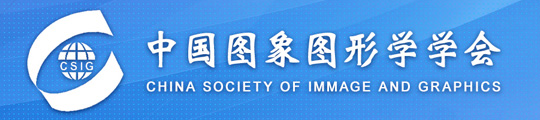 http://www.csig.org.cn/