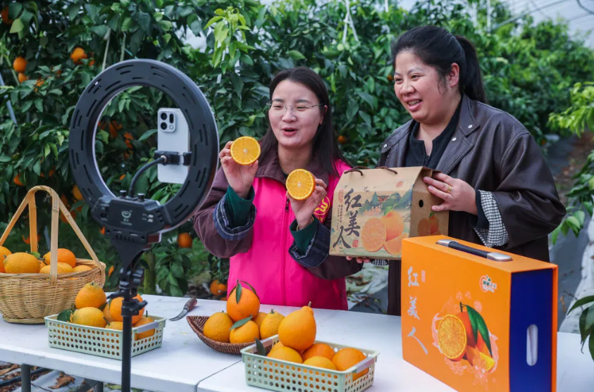 1765860555567617.png 屏幕截图 2025-12-16 134632.png